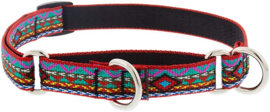 3/4in El Paso Martingale dog collar with multicolor woven design and adjustable length