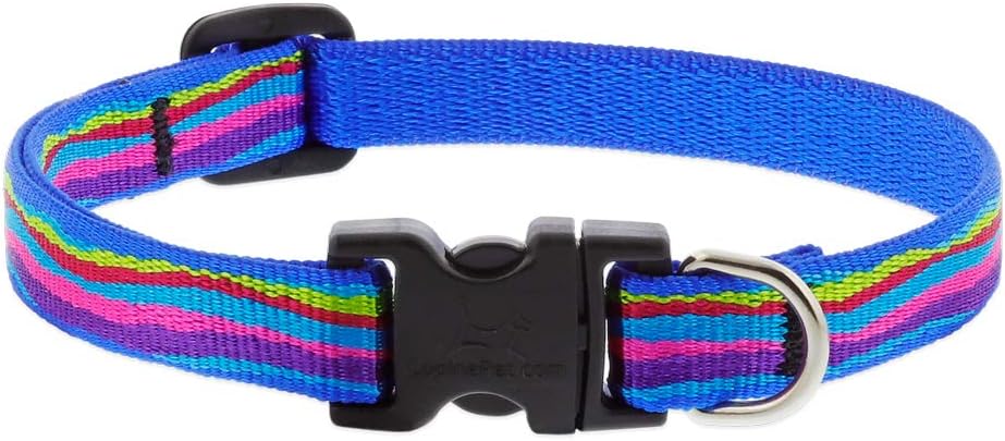 1/2in Ripple Creek adjustable pet collar in aqua with colorful stripes and black buckle