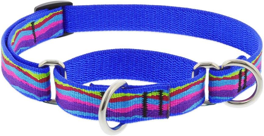 3/4 inch adjustable Ripple Creek martingale dog collar in aqua with colorful stripes and metal rings, 14-20 inch length