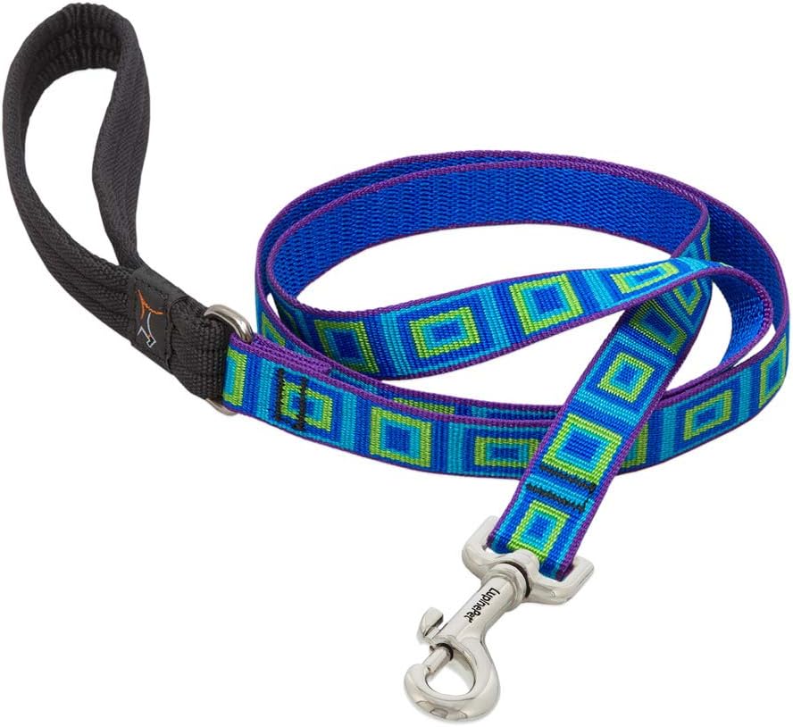 3/4in Sea Glass 6ft pet leash with vibrant aqua geometric pattern and padded handle