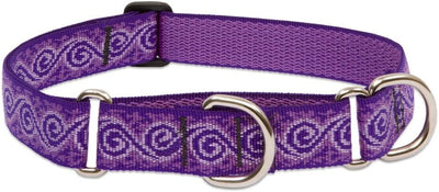 1in Jelly Roll adjustable purple martingale dog collar with swirl pattern and metal hardware