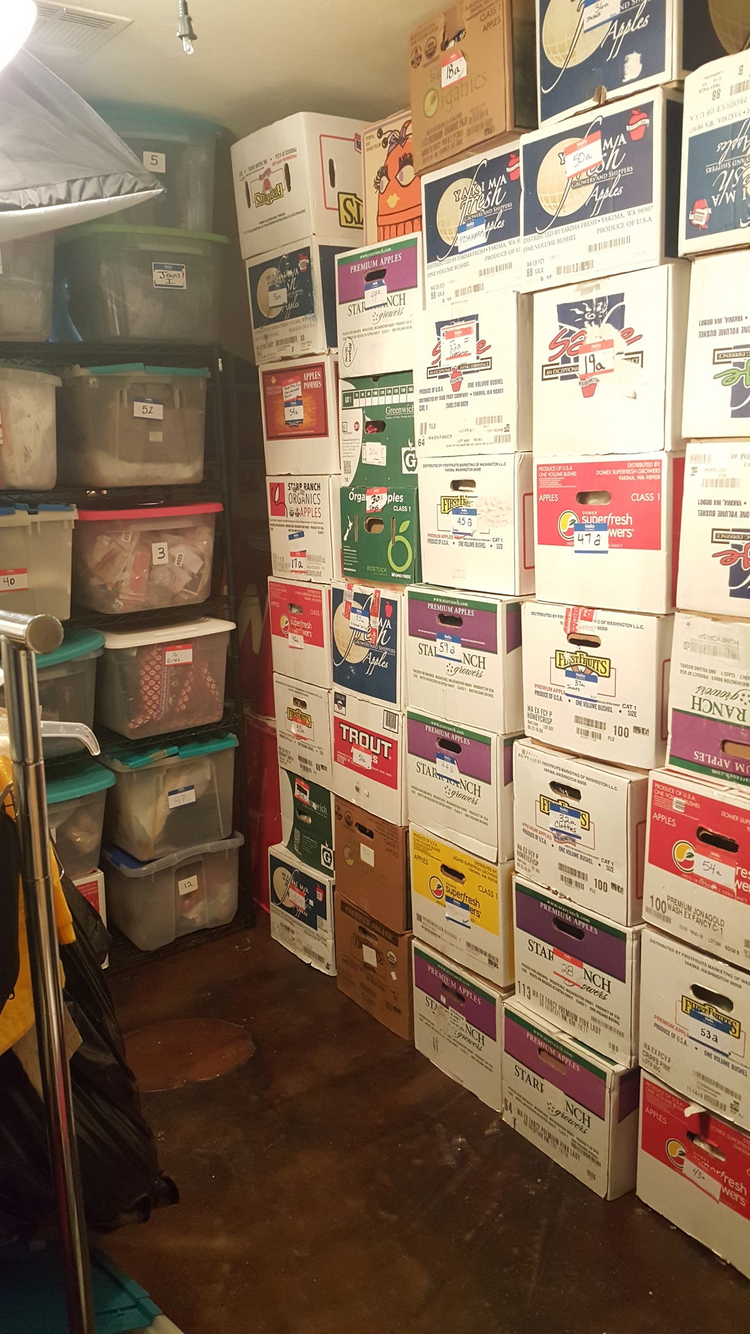 Visit the Annex with us! As we show you what's in our warehouse American Darling and More