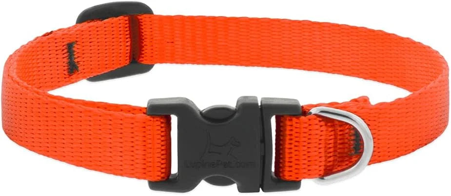 1-2in Blaze Orange 10-16 Adj Collar