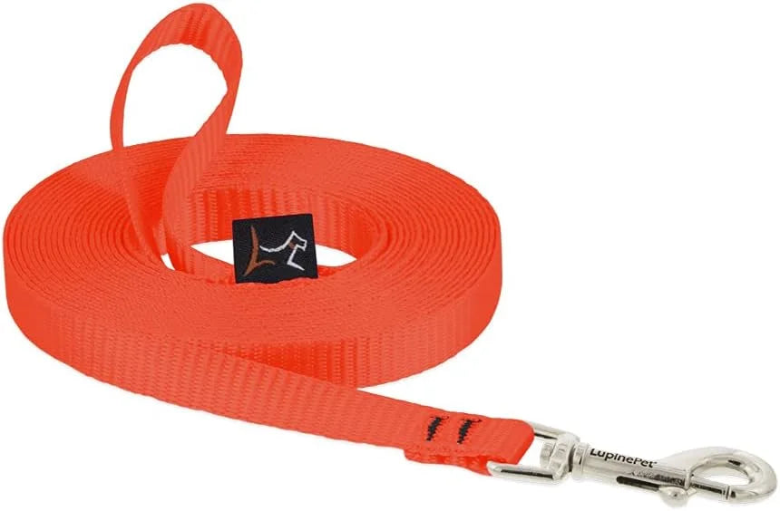 1-2in Blaze Orange 15ft Training Leash