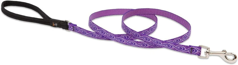 1/2 inch purple jelly roll dog leash with black handle and metal clip, 6 feet long