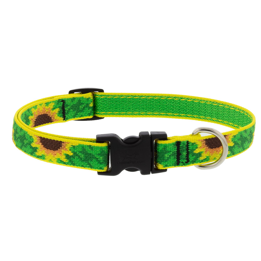 3/4 Inch Sunflower Style Martingale Dog Collar Fits 10-14" & 14-20" Neck Sizes