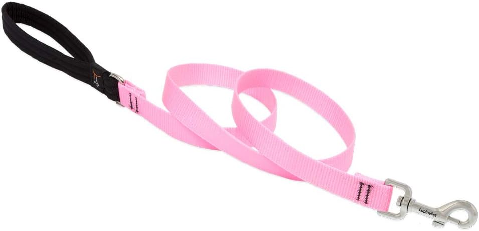 3/4in Pink 4ft Leash