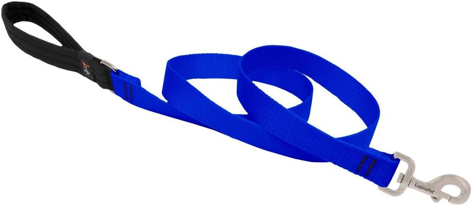 1in Blue 4ft Leash