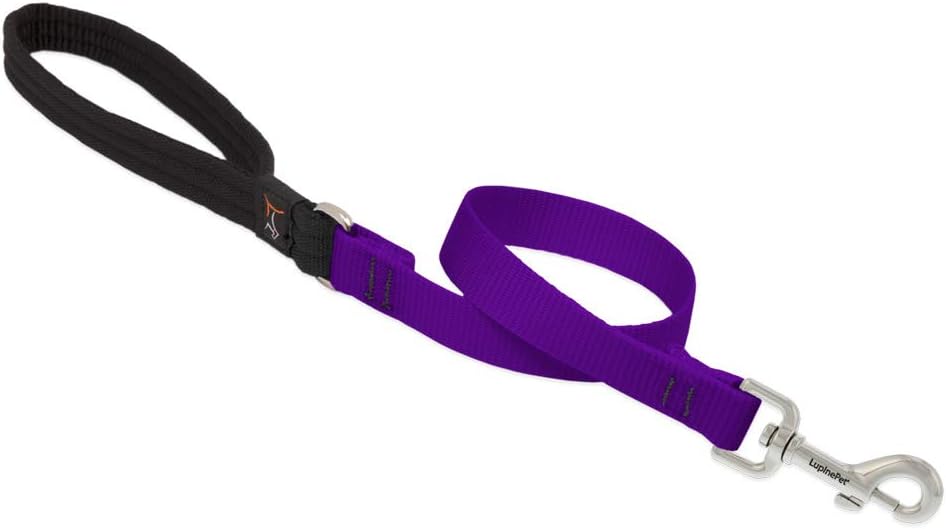 3-4in Purple 2ft Leash