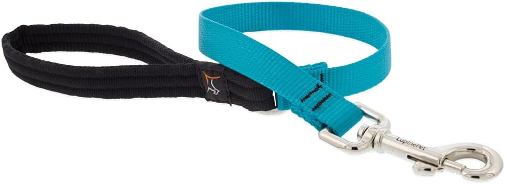 3/4in Aqua 2ft Leash