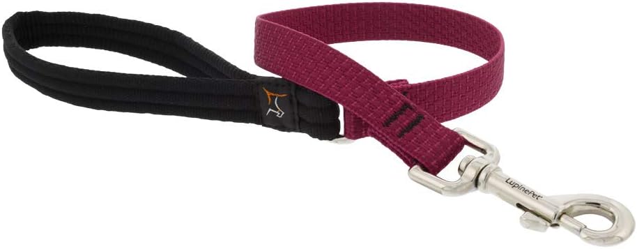 3/4in Berry 2ft Leash