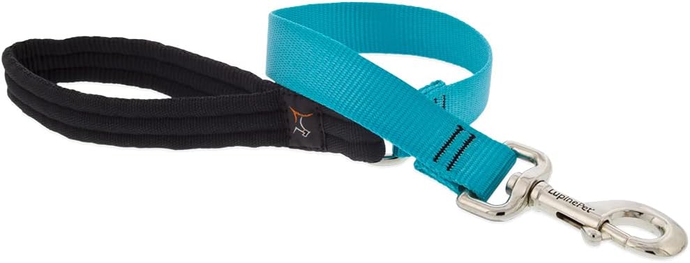 1in Aqua 2ft Leash