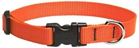 3/4in Blaze Orange 9-14 Adj Collar