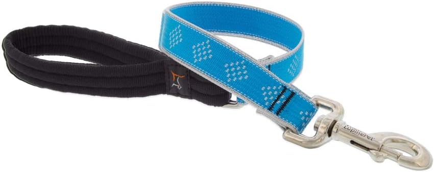 HL 1in Blue-Diamond 2ft Leash