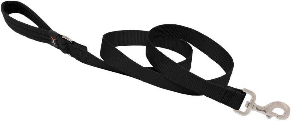 1in Black 4ft Leash