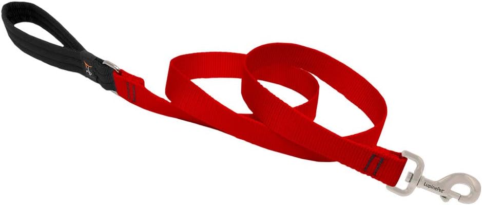 1in Red 4ft Leash