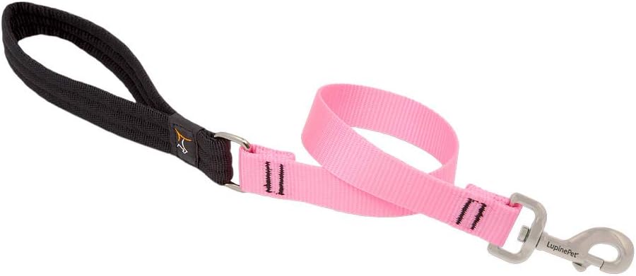 1in Pink 2ft Leash