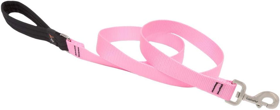 1in Pink 6ft Leash