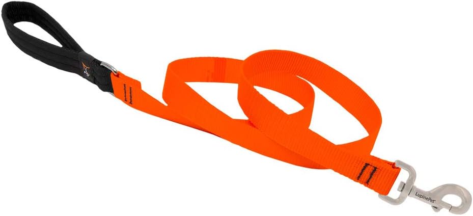 1in Blaze Orange 4ft Leash