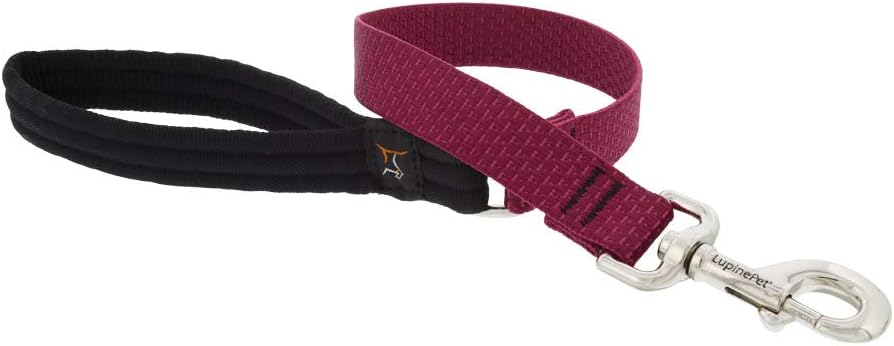 1in Berry 2ft Leash