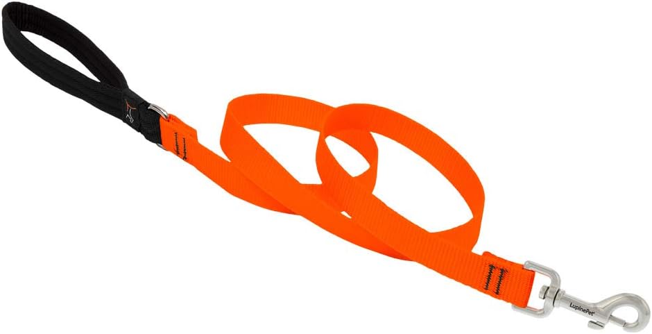 3/4in Blaze Orange 4ft Leash