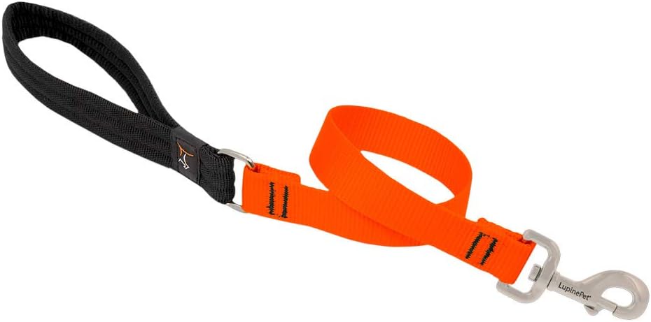 1in Blaze Orange 2ft Leash