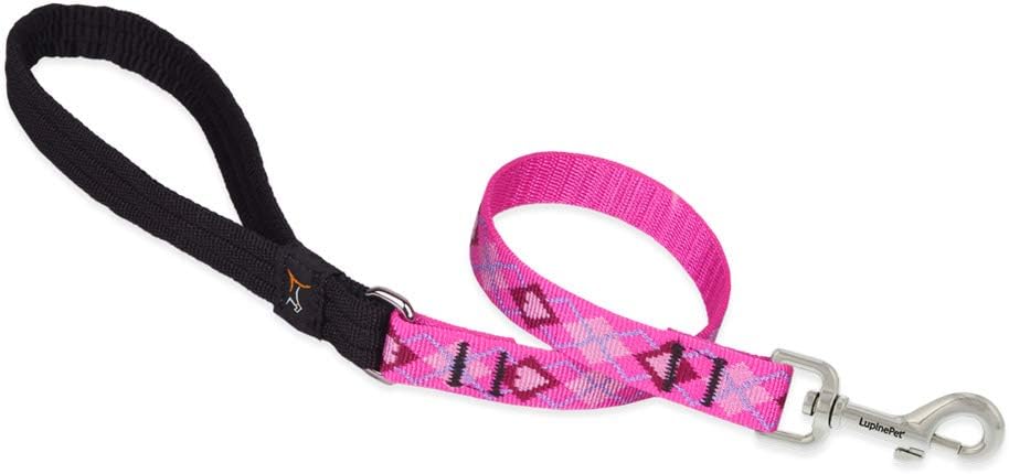 3/4in Puppy Love 2ft Leash