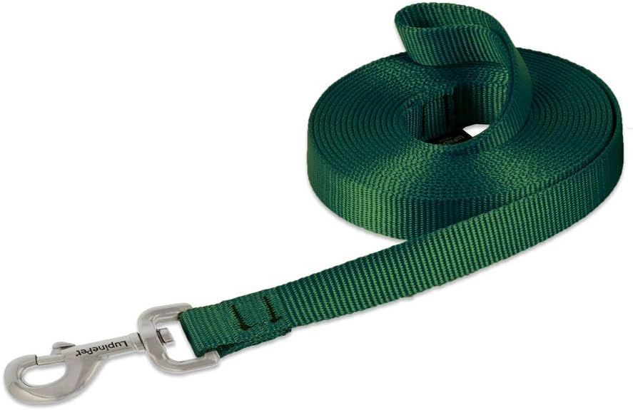 3/4in Green 15ft Training Leash