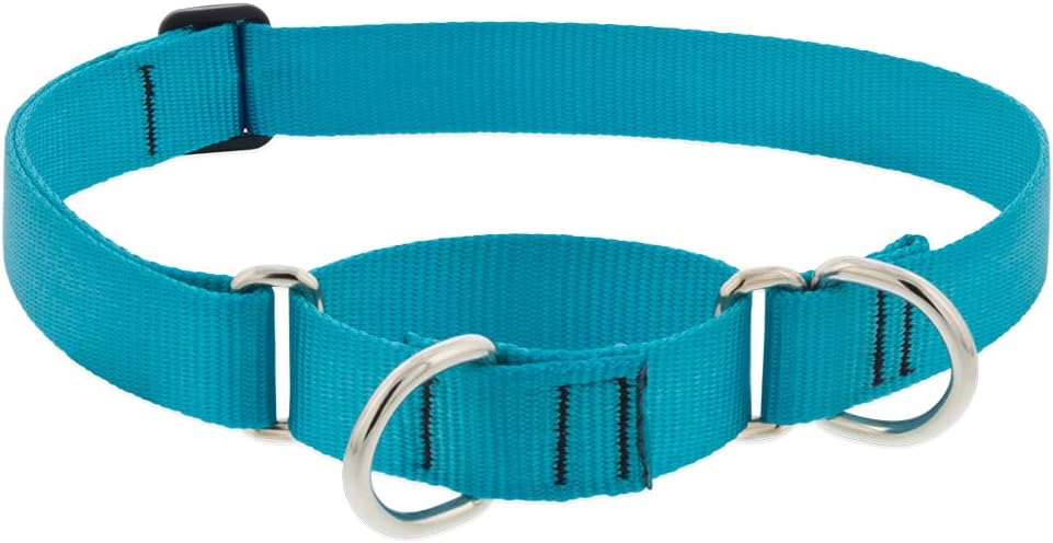 1in Aqua 15-22 Martingale