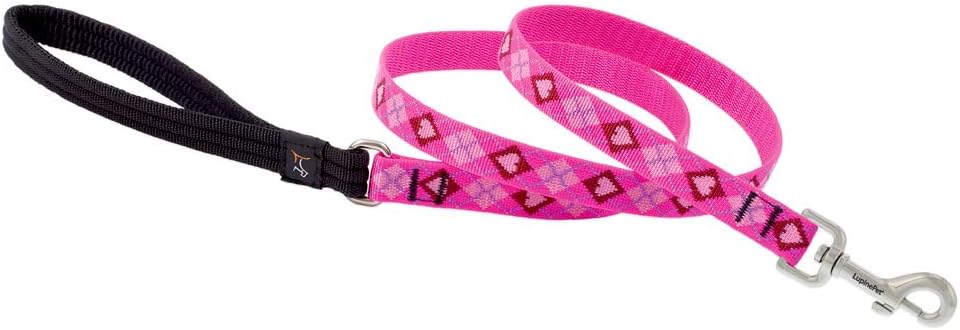 3/4in Puppy Love 4ft Leash