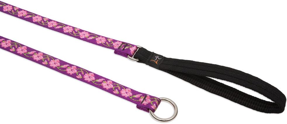 3/4in Rose Garden 6ft Slip Leash