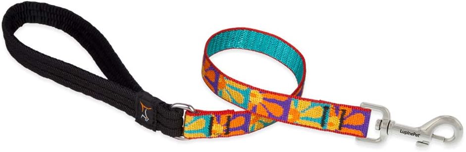 3/4in Crazy Daisy 2ft Leash