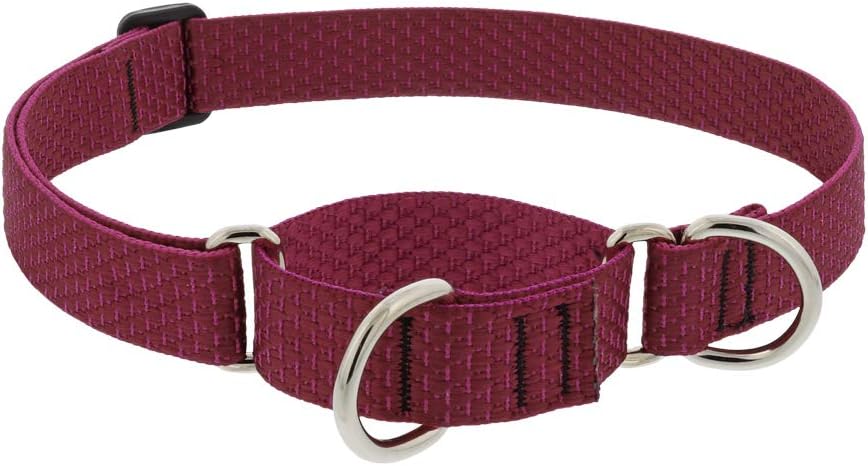 1in Berry 15-22 Martingale