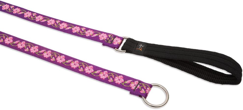 1in Rose Garden 6ft Slip Leash