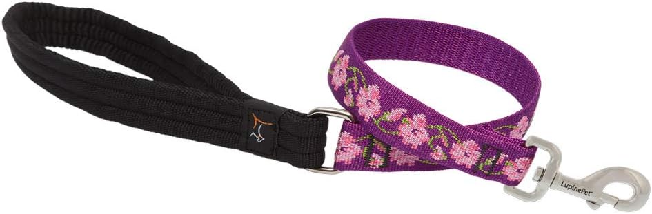 1in Rose Garden 2ft Leash