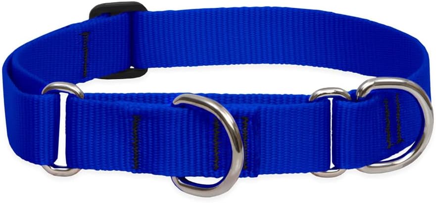 1in Blue 19-27 Martingale