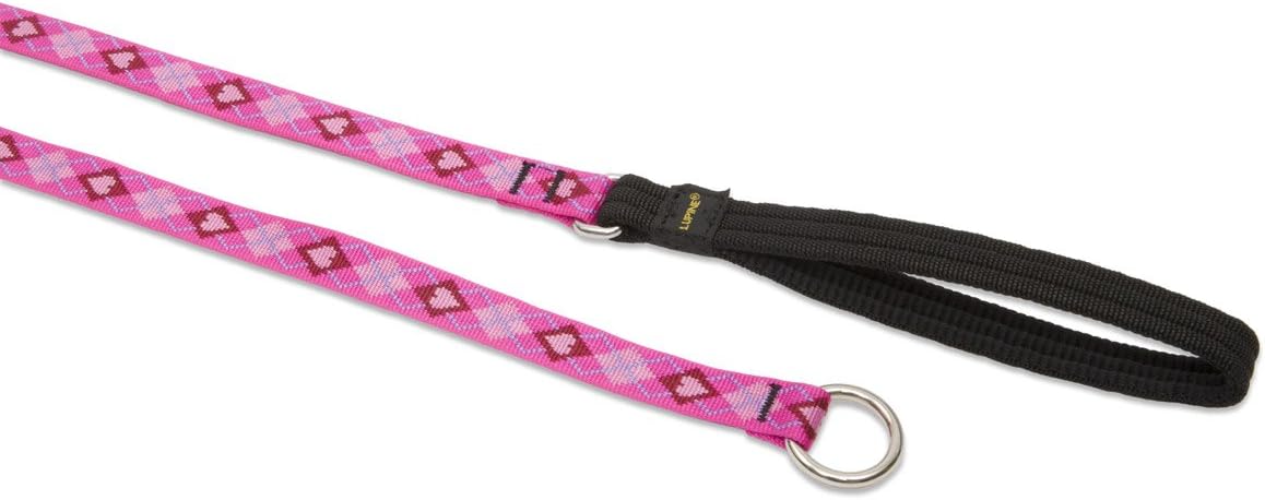 3/4in Puppy Love 6ft Slip Leash