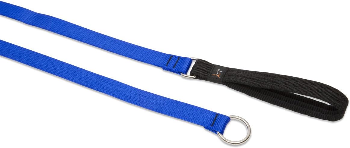 3/4in Blue 6ft Slip Leash