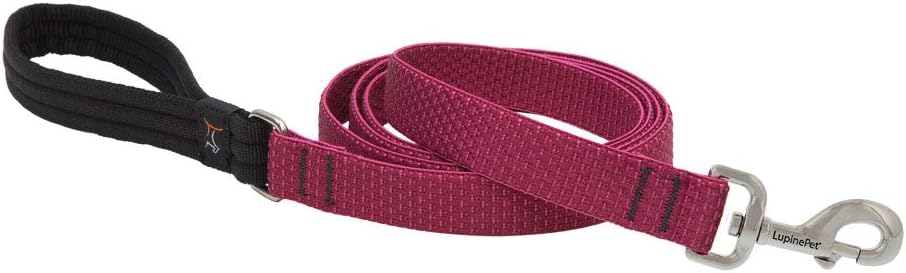 1in Berry 6ft Leash