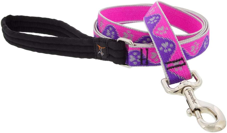 HL 1in Pink-Paws 4ft Leash