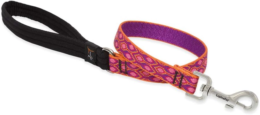 3/4in Alpen Glow 2ft Leash