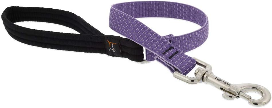 3/4in Lilac 2ft Leash