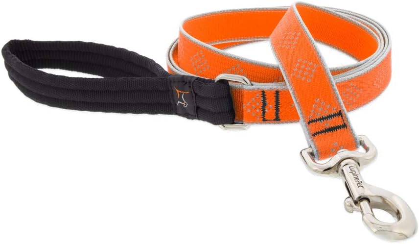 HL 1in Orange-Diamond 4ft Leash