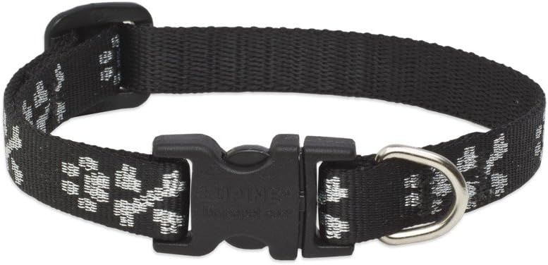 1/2in Bling Bonz adjustable black dog collar with silver paw print design and plastic buckle, fits 8-12 inches neck size