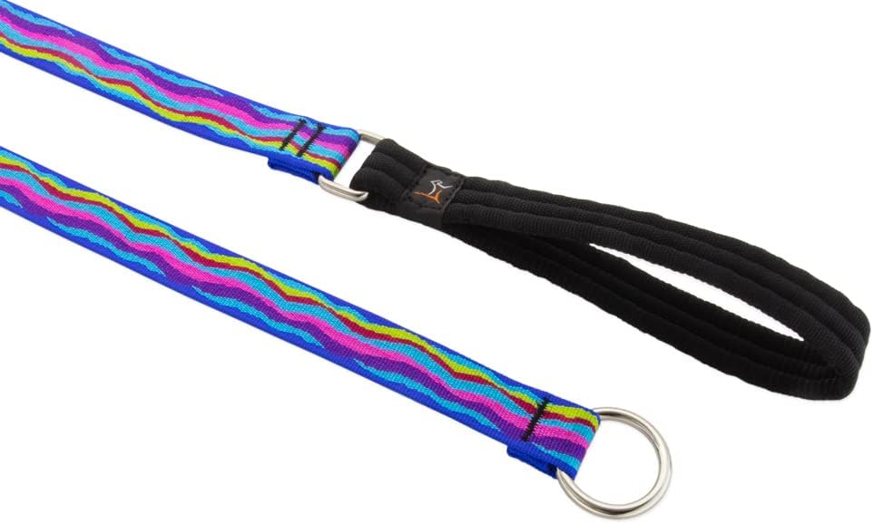 1in Ripple Creek 6ft Slip Leash