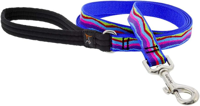 3/4in Ripple Creek 6ft Leash in aqua with colorful ripple design and metal clip for durable pet control