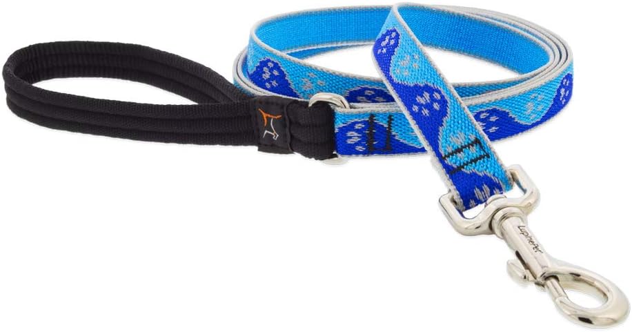 HL 3/4in Blue-Paws 4ft Leash