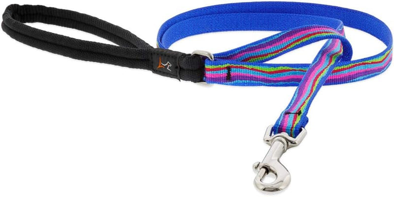 Ripple Creek 6ft adjustable dog leash with a vibrant striped design and sturdy metal clasp