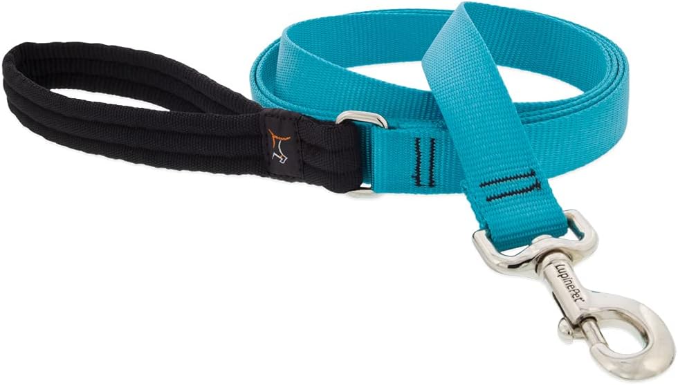 1in Aqua 4ft Leash