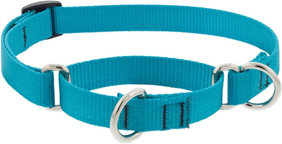 3/4in Aqua 10-14 Martingale